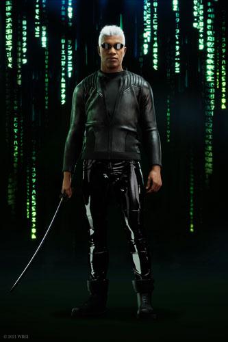 Matrix niftys PFP awake