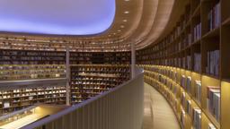 NFTs and Higher Education