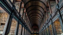 NFT & Higher Education: College and Universities