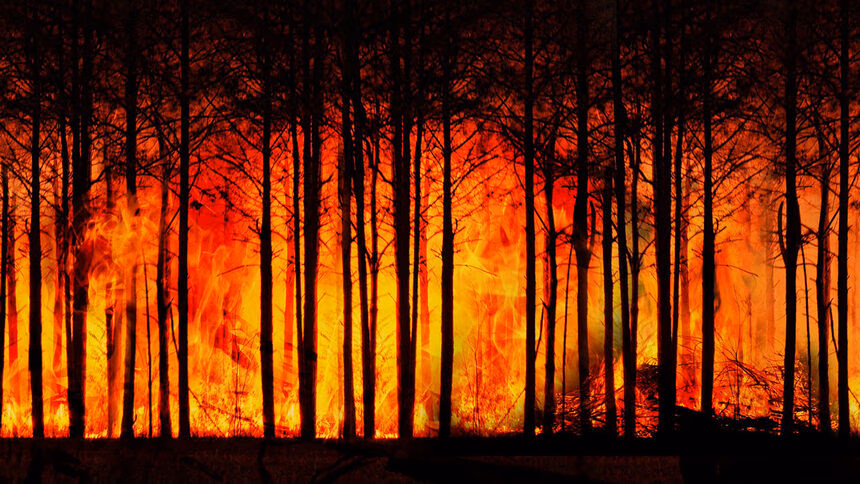 Sorry… No NFT market crash so far!